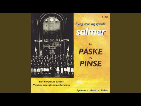 Hil dig, frelser og forsoner