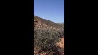 Watts: Cloud Hidden Whereabouts Unknown