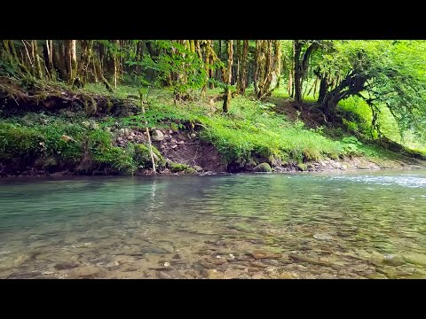 Sons doux d'une belle rivière de montagne. 3 Heures de vidéo 4K.