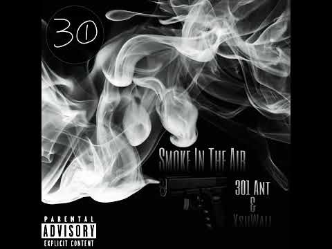 301 ANT SMOKE IN THE AIR VIDEO OFF