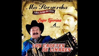 Mi Unico Camino - Los Cadetes de Linares