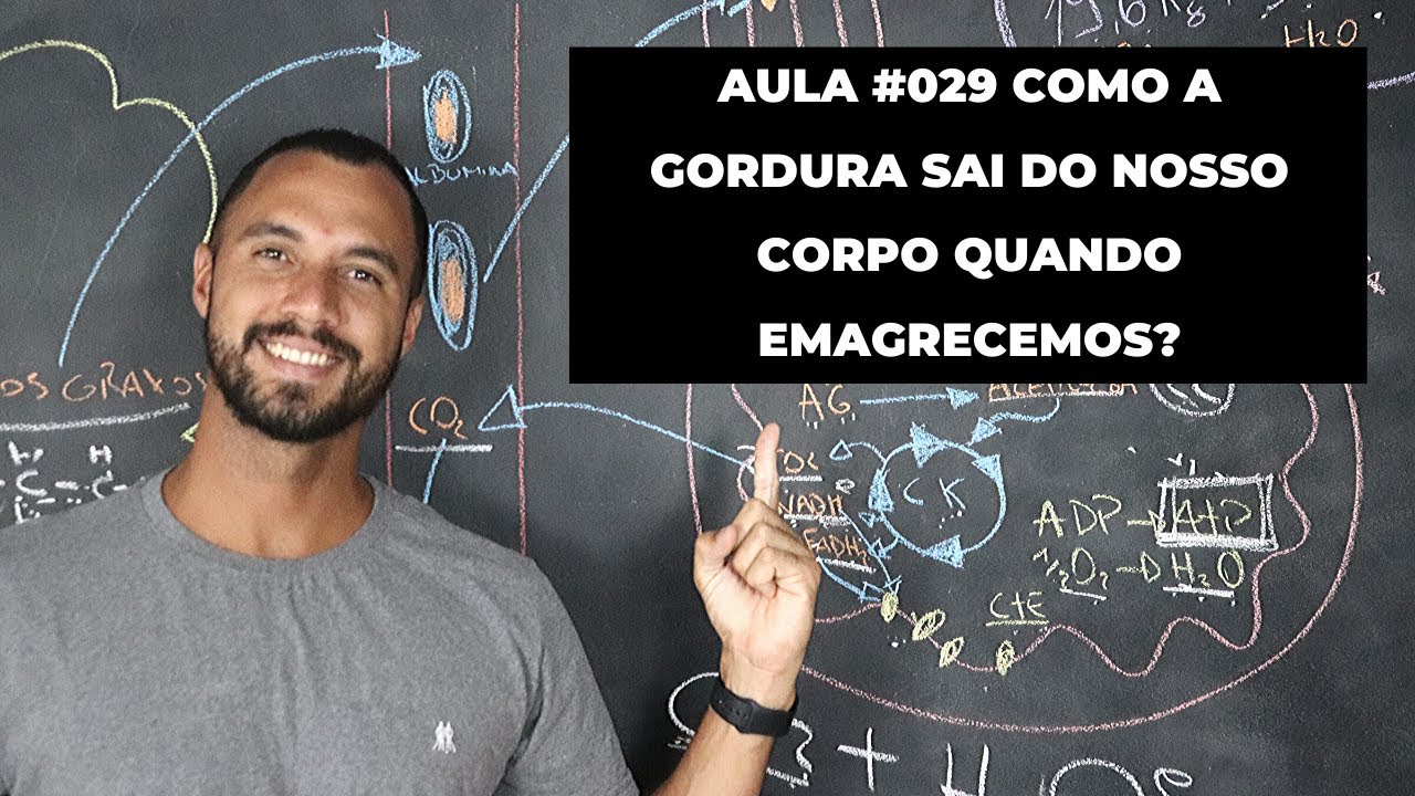 Aula #029 Como a gordura sai do nosso corpo quando emagrecemos?