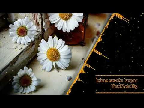 Hiraizerdüş (içime sevda kaçar)