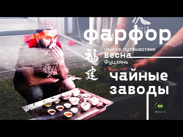 Фуцзянь LIVE. Делаем чай, пакуем фарфор. Чайные заводы, дегустация.