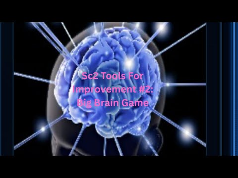Sc2 Tools for Improvement #2: Big Brain Game