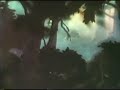 Opening To The Fox And The Hound 1981 VHS Newator7240
