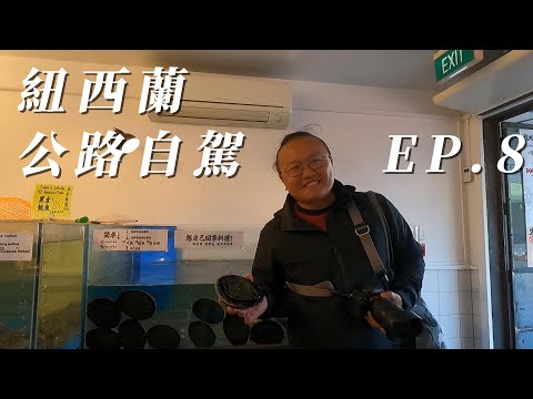 [Tree West Lan South Island True Huan Island Highway Journey EP.8] A vez da Imperatriz ver o ouro negro e o grande peixe abalone ｜ Você tem uma boa noção de como viver em uma área e a destruição direta ｜ O problema de parar o trem ｜ A maré vazante e a real necessidade de boas pesquisas｜A Árvore Solitária da Solidão