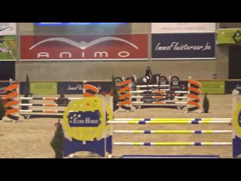 LUIGI D' ECLIPSE CSIYH 5YO FINAL OPGLABEEK