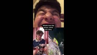 Download lagu [Archived] Ribbit of the night [TikTok Mashup Song] by @torreredman and others mp3