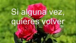 BRYNDIS TE ESPERARÈ letra)