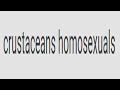 This Google Translate Video Will Break Your Brain