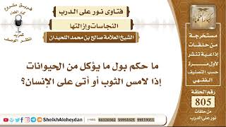 صورة 9889 - ما حكم بول ما يؤكل من الحيوانات إذا لامس الثوب أو أتى على الإنسان؟ - نور على الدرب