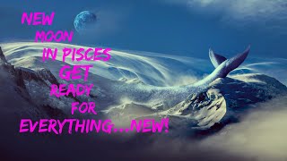New Moon in Pisces: March 17th 2018🙊🍀💗 Get ready for everything...New!