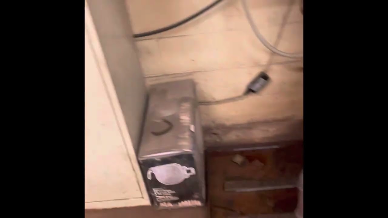Opening up the shop