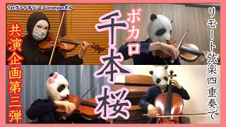 Download lagu 【弦楽器でボカロ】千本桜 feat.初音ミク/黒うさP(PANDAYA✖️Coronyan バイオリン、チェロ、ビオラ)弦楽四重奏で弾いてみた! mp3 Download lagu 【弦楽器でボカロ】千本桜 feat.初音ミク/黒うさP(PANDAYA✖️Coronyan バイオリン、チェロ、ビオラ)弦楽四重奏で弾いてみた! mp3