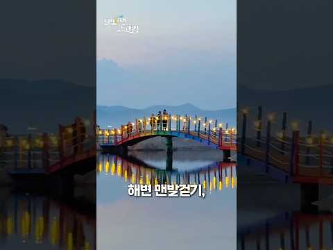 여름밤에 이런 축제가 있다고?