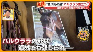 “負け組の星”「ハルウララ」旅立つ　ゲームアプリ「ウマ娘」で世界的人気に 海外ファンからの追悼の声相次ぐ【サン！シャインニュース】