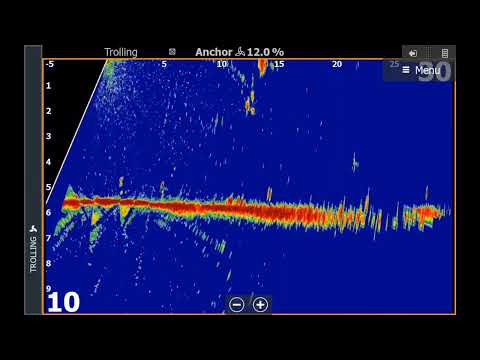 ПЕЛАГИЧЕСКИЙ СУДАК  интересно наблюдать и не легко поймать ActiveTarget 2.Lowrance. Nistru Moldova.