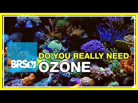 Week 28: Ozone and Reef Tanks: Crystal Clear Tanks but at a Cost! | 52 Weeks of Reefing Video