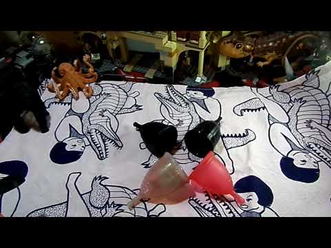 TOP 5: Reasons Why Menstrual Cups are the best!