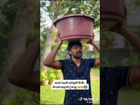 saanaka bro ❤️😀 #automobile #odishalabakuasajanma