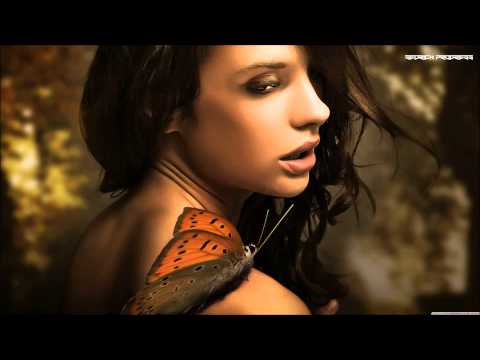 Phonovoltaik and Micrologue featuring Amanic - Particle (Amanic Remix)