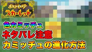 【ネタバレ注意】　カミッチュへの進化方法！　色違いカミッチュ　【ポケモンSV】