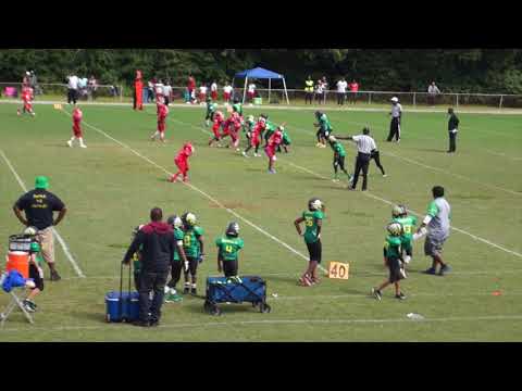 Greyhounds vs. ducks