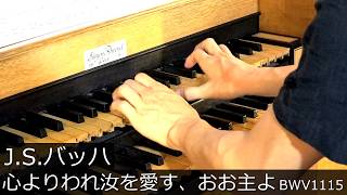 Download lagu 【パイプオルガン】J.S.バッハ : コラール「心よりわれ汝を愛す、おお主よ」BWV1115 冨田一樹 (J.S.Bach : Herzlich lieb hab ich dich, o Herr) mp3