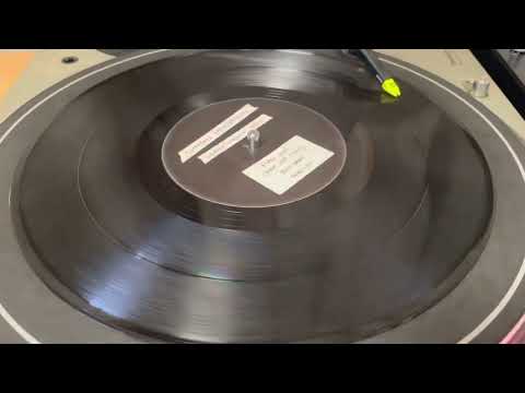 Vinyl EVERY LION / Dubkasm feat Lidj Xylon