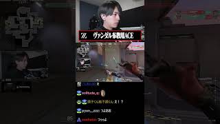 ヴァンダル布教用ACE #valorant #laz
