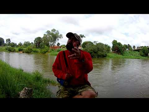 No sabrán  (en vo-vi)