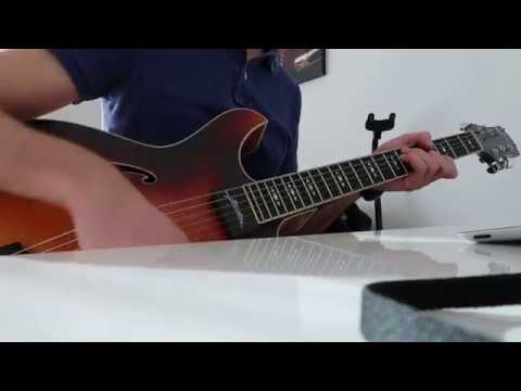 Trompetenecho (Na Golici) - Erman DSC 17 Gitarre (Kitara)