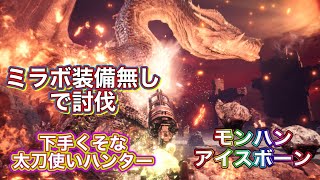 最弱ハンターが逝くミラ装備以外でミラボ討伐