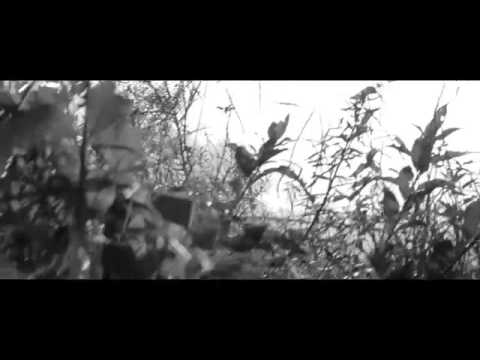 Rinus Ponsen   Jij lacht niet meer Officiële videoclip