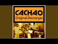 Descarga Mambo