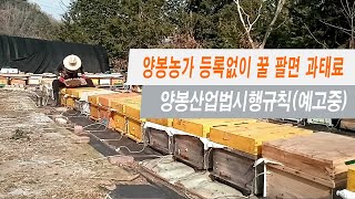 이제부터 양봉농가는 등록하지 않고 벌꿀을 팔면 과태료를 물게됩니다. 양봉산업법 시행령 및 시행규칙 예고