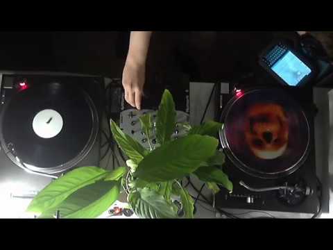 Ant To Be  Show #5 (vinyl only) @ Kniteforce Radio (06.09.2017)