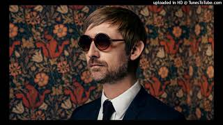The Divine Comedy - Lucy
