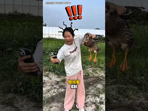 Pindah ke Rumah Gocap, Hadiahnya Bikin Ngakak 😂