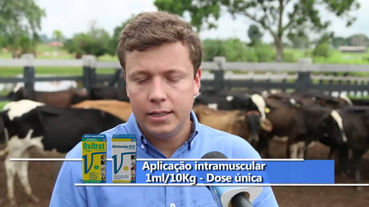 AÇÕES DE CONTROLE DA TRISTEZA PARASITÁRIA BOVINA - PARTE 2