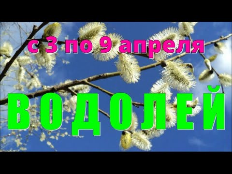 ВОДОЛЕЙ ♒️с 3 по 9 апреля.