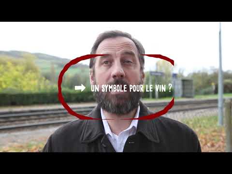 Interview Caisse de 12 de Fred Testot