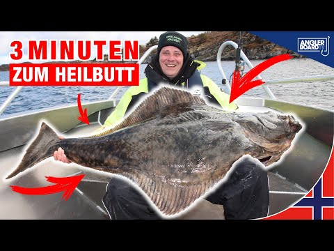3 minutes to halibut😱 | Vikna makes it possible 🎣 | incredible fishing in Norway