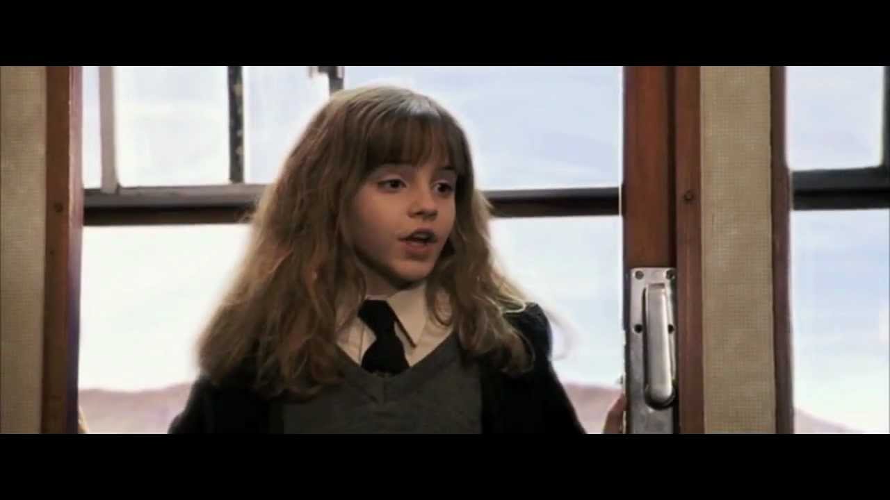 Harry Potter and the Philosopher's Stone - Harry, Ron & Hermione in the Hogwarts Express