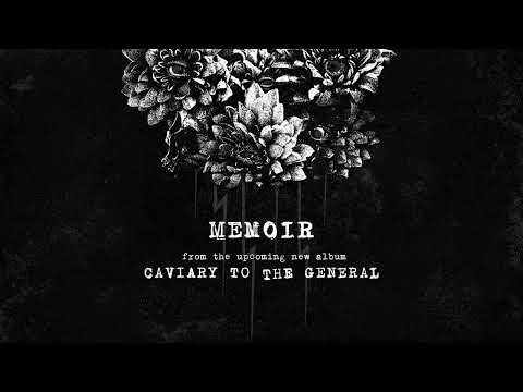 Terrestrial Hospice - Memoir (Track Premiere)