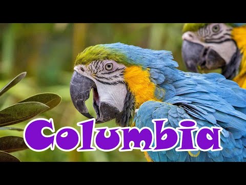 Columbia, Cartagena Oasis - Cruise with Rhapsody of the Seas ep7 - travel calatorie video vlog