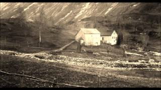 Doggone Conifers - Poor Ellen Smith