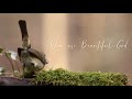 Your Beatiful God Jesus English Whatsapp Status Jesus Cover Song