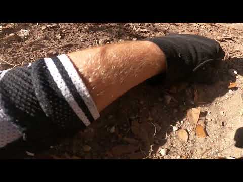 Moonscape at Alafia MTB --  Pedal strike crash at beginning of trail, DOH!!